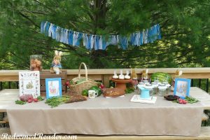 peter rabbit party 2a