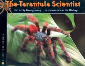tarantula cover
