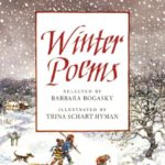 cover of Winter Poems