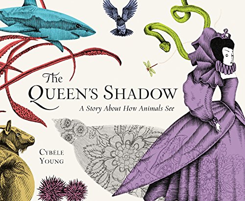 cover of The Queen's Shadow