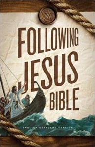 bible-following Jesus