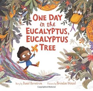 rr_eucalyptus-tree