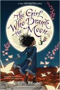 Cover image of The Girl Who Drank the Moon