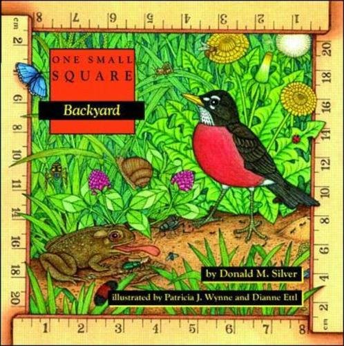 cover of one small square backyard