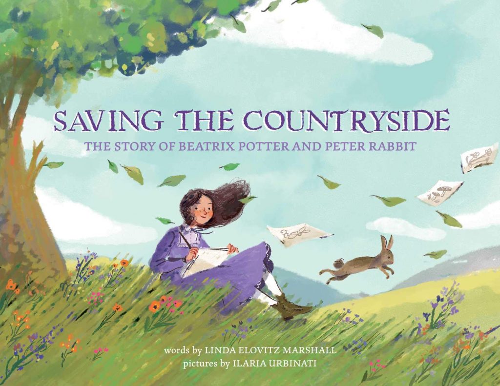  cover of Saving the Countryside