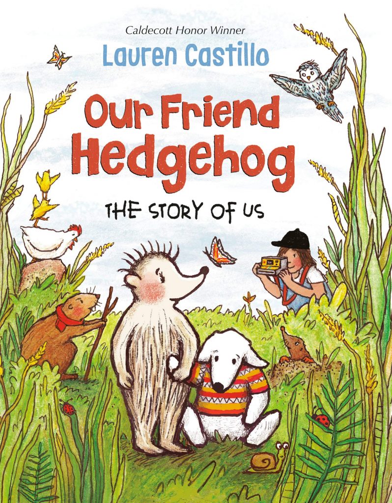 cover of Our Hedgehog Friend