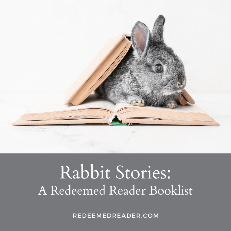 rabbit stories