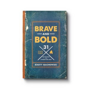 cover of brave and bold