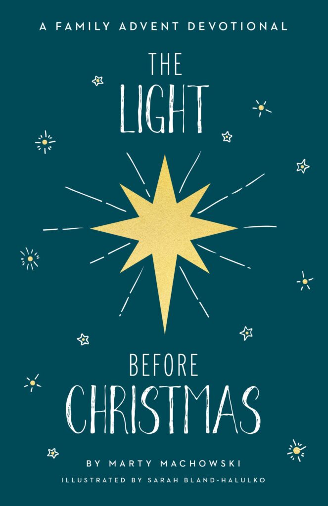 cover of light before christmas