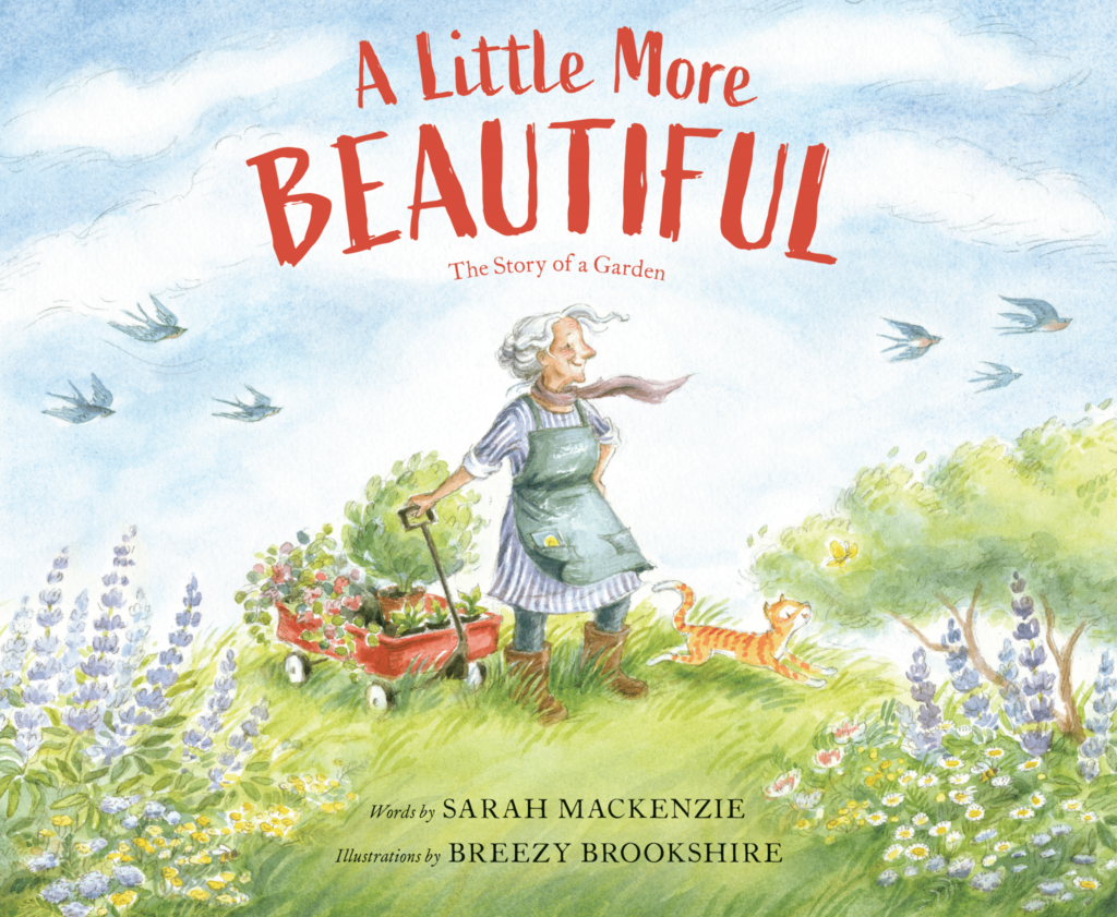 cover of A Little More Beautiful