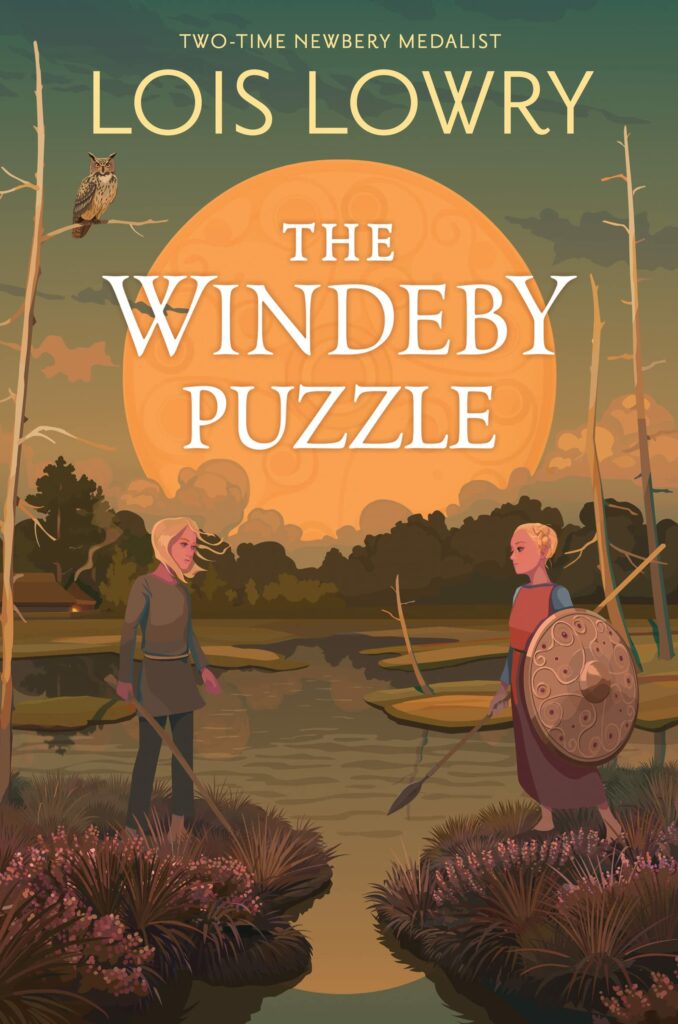 cover of windeby puzzle