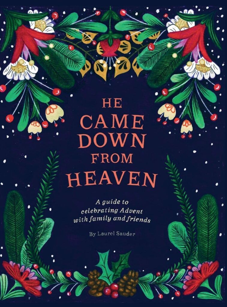 cover of He Came Down from Heaven