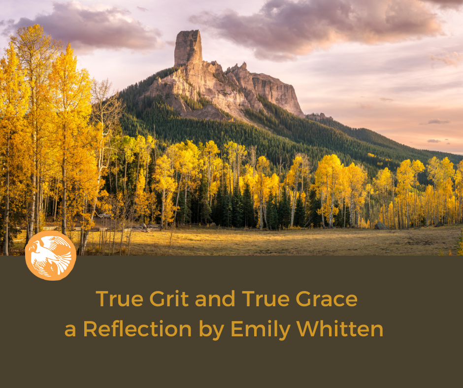 True Grit reflection