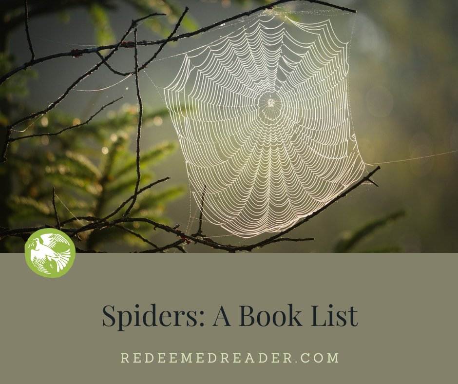 spiders a book list